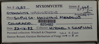 Image Associated With the Occurence